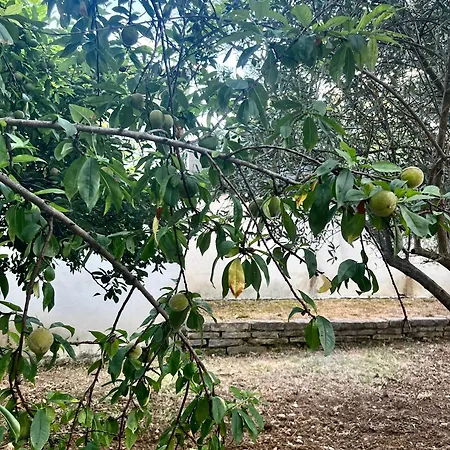 Avec Piscine Privee Sans Vis A Vis Et Montpellier A 20mn 빌라